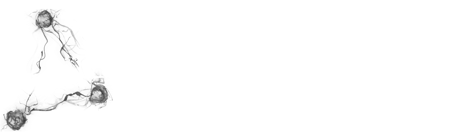 Les mondes transversaux